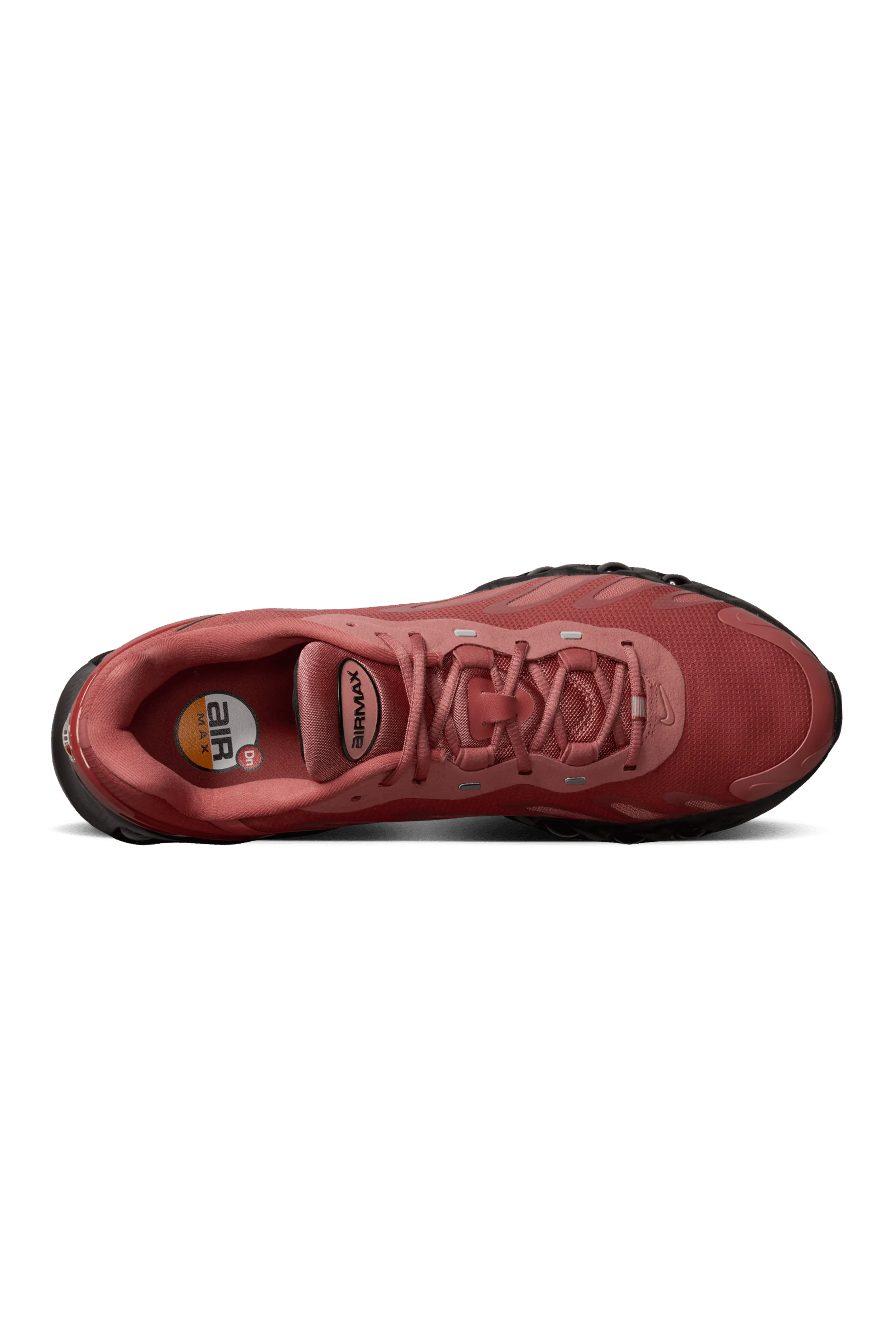 Air Max Dn8 " Canyon Rust"