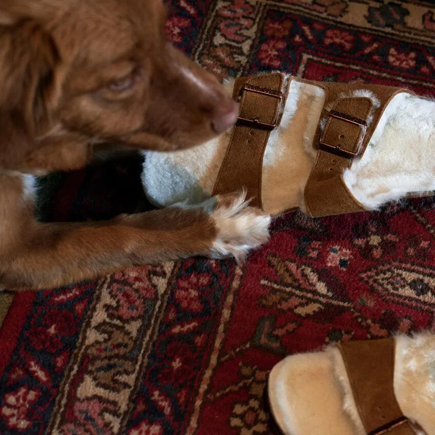 ARIZONA SHEARLING MINK