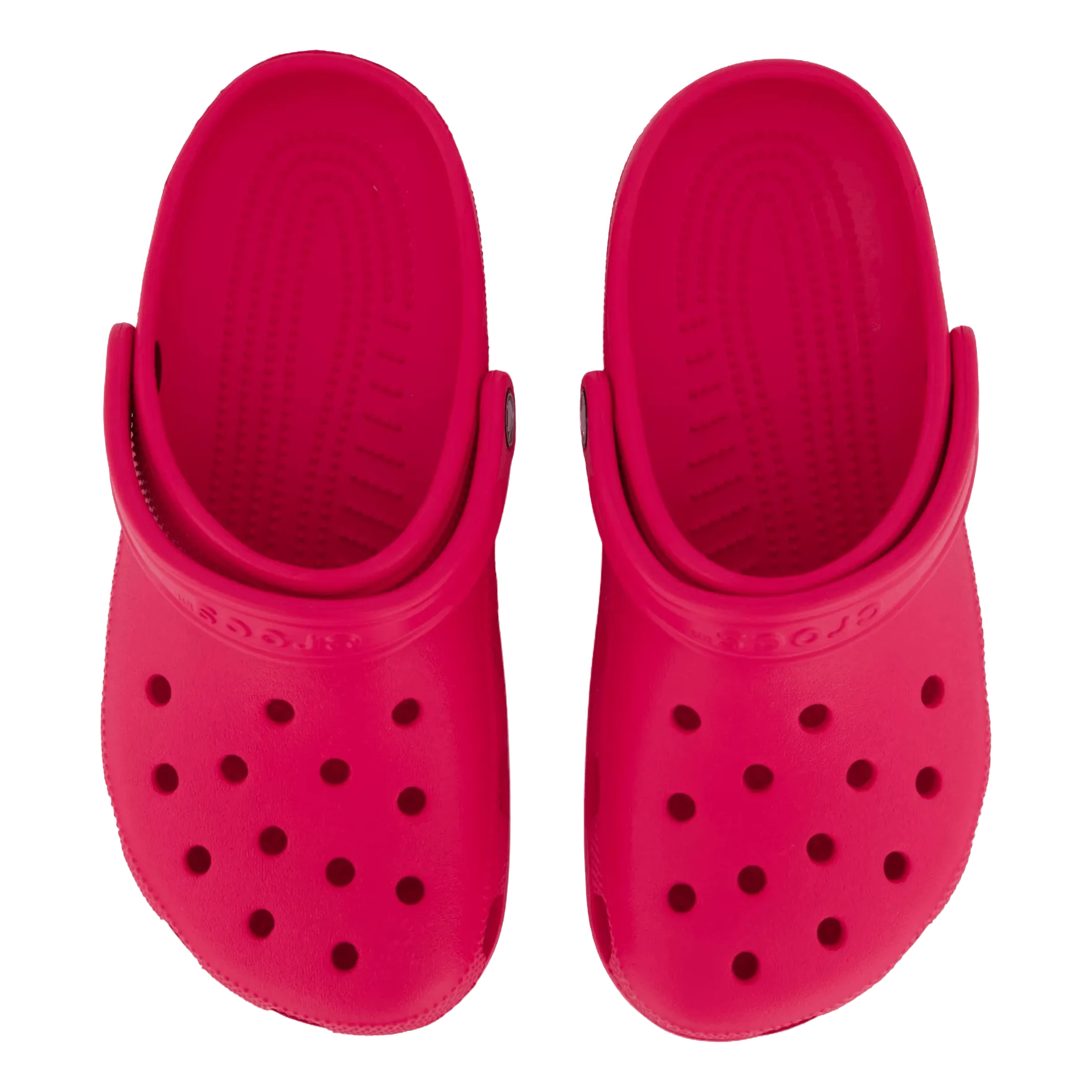 Classic Dragon Fruit
