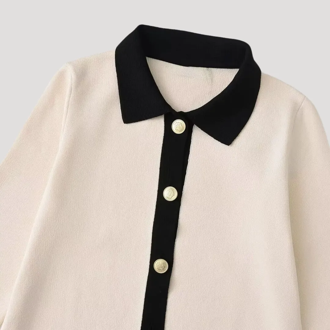 Knit Dress – Button Front – Elegant Minimalist Style
