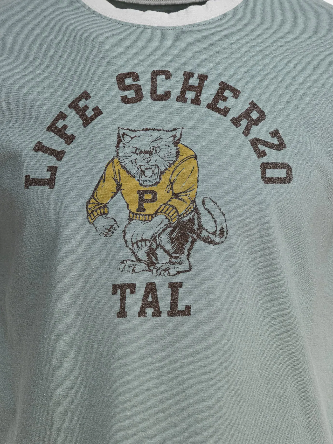 "College CAT PITAL" T-shirt
