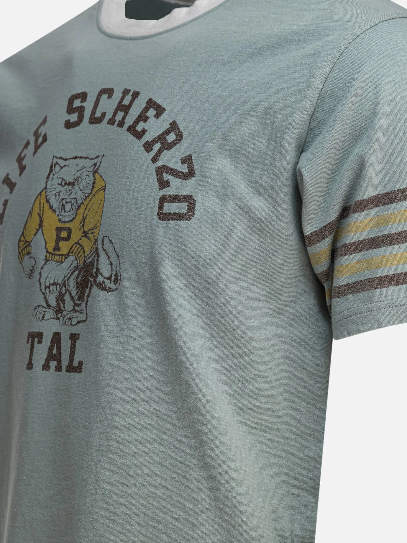 "College CAT PITAL" T-shirt