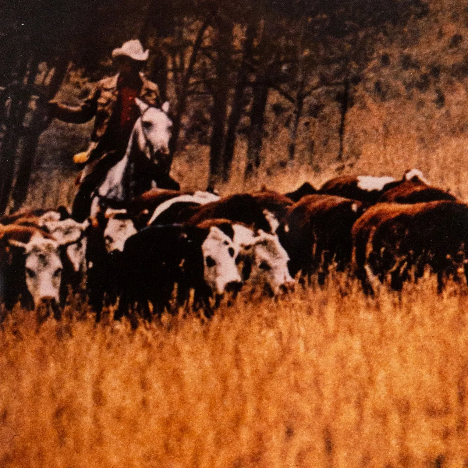 RICHARD PRINCE "COWBOYS GANG" 1992